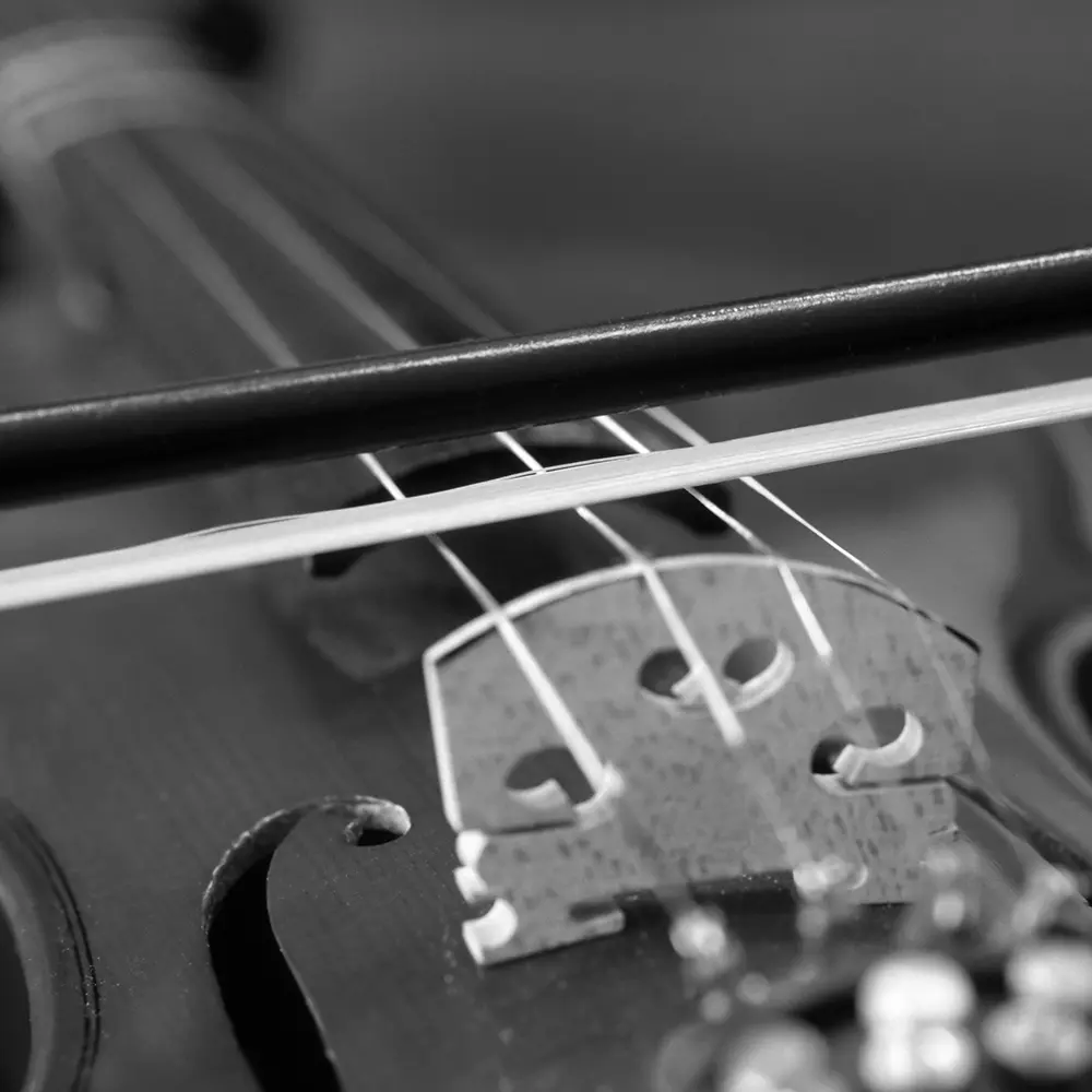 バイオリン弓